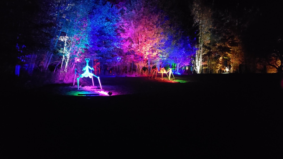 Griffis Sculpture Park Ashford, East Otto